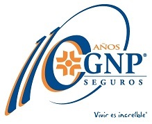 GNP (Grupo Nacional Provincial)